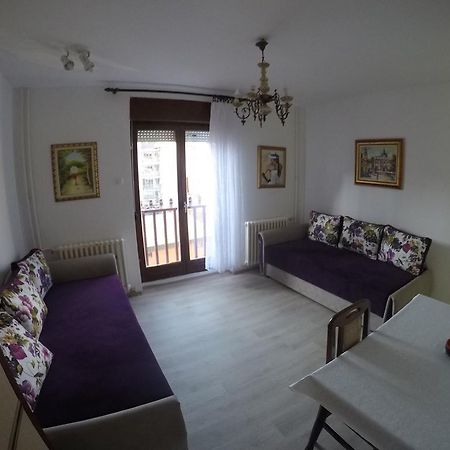 Violet Star Apartment Novi Sad Exterior foto