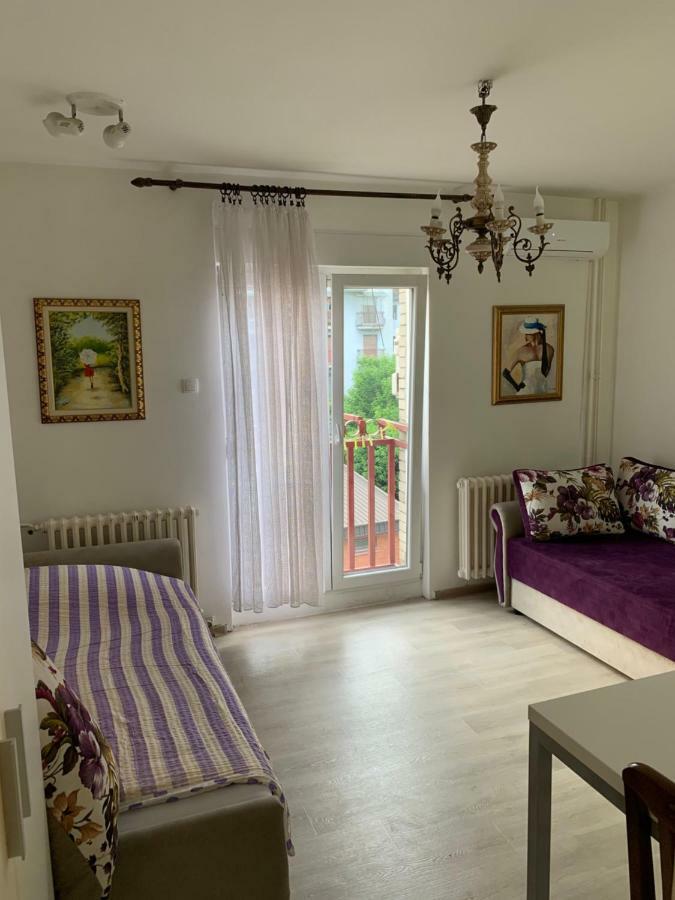 Violet Star Apartment Novi Sad Exterior foto